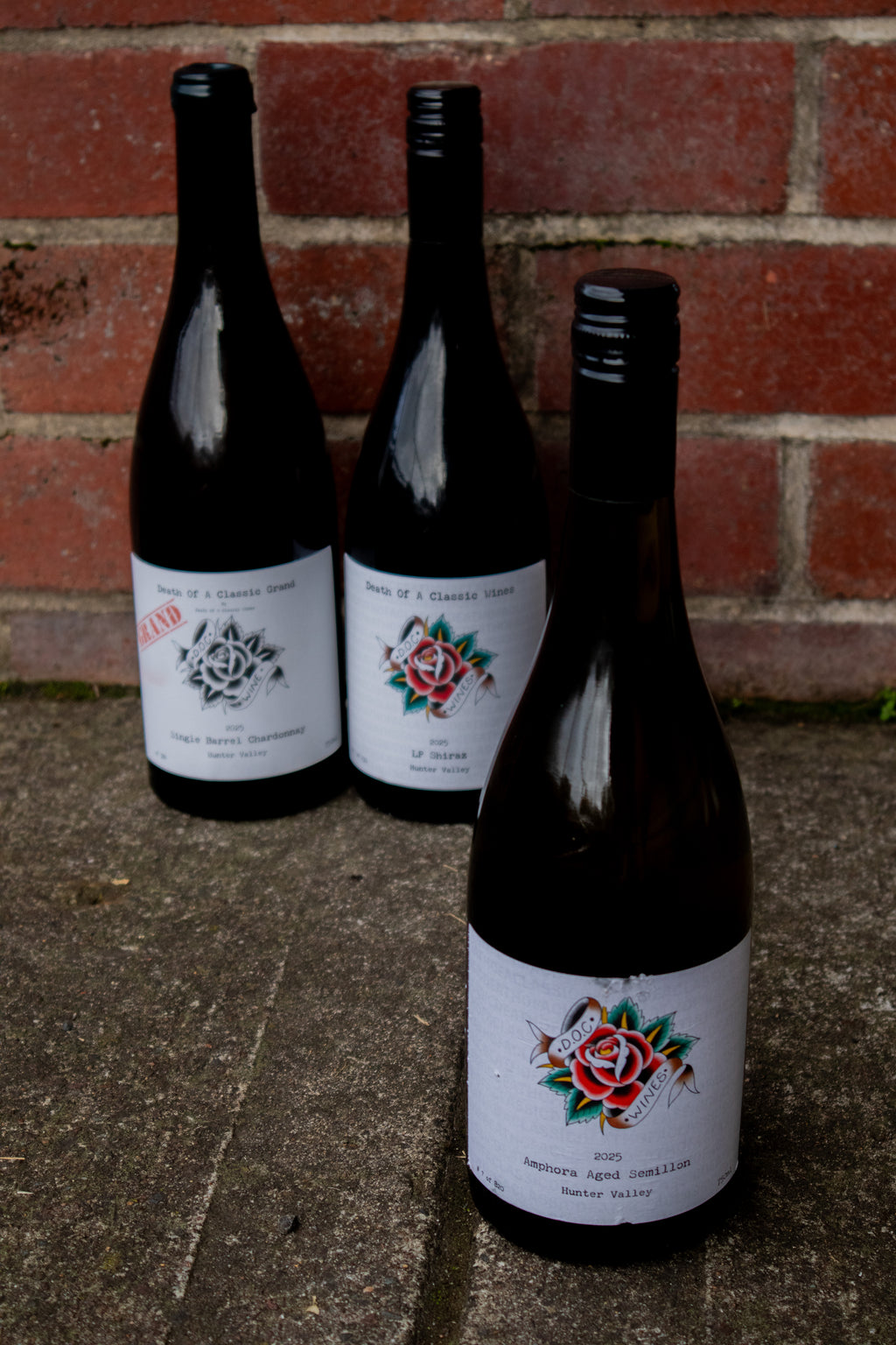 2025 LP Shiraz